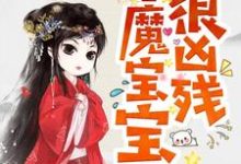 半魔宝宝很凶残(凌雪琪无夜)在线免费阅读-乐读文学