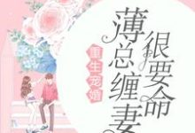 曲瓷薄时延曲洛依小说在线章节免费阅读(重生宠婚:薄总缠妻很要命无弹窗无删减)-乐读文学