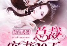 哪里可以免费读到言晚霍黎辰言默林的完整故事?寻找契约成婚,总裁宠妻30天-乐读文学