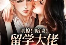 明撩!暗诱!留学大佬他不怀好意小说有没有完结版在线?-乐读文学