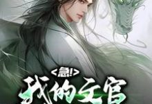 急!我的文官手持万斤神力小说最新更新在哪里?免费在线看-乐读文学