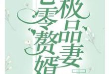 已完结小说《七零赘婿极品妻》在线章节阅读-乐读文学
