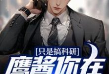 求推荐可以免费阅读只是搞科研,鹰酱你在怕什么?小说的网站-乐读文学