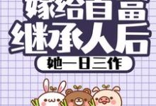 《嫁给首富继承人后,她一日三作》小说主角 穆乐乐晏习帛章节章节免费在线阅读-乐读文学