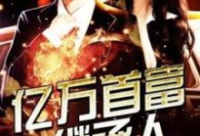 已完结小说《亿万首富继承人》章节免费阅读-乐读文学