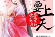 妃要上天:诡王有种你别追这本小说怎么样?免费在线阅读试试-乐读文学