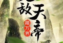 无敌天帝踏万界免费阅读,无敌天帝踏万界章节在线阅读-乐读文学