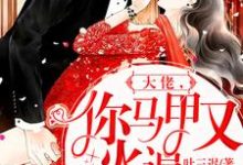 大佬,你马甲又火遍全球了小说,大佬,你马甲又火遍全球了在线阅读-乐读文学