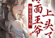 叶流锦的小说在哪里看?免费在线阅读嫡女重生夺权,冷面王爷上头了-乐读文学
