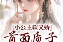 小公主软又娇,首面质子把持不住这本小说怎么样?免费在线阅读试试-乐读文学