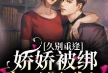 宋煜北向枳是哪本书的主角?久别重逢:娇娇被绑去了民政局免费读-乐读文学