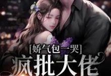 娇气包一哭,疯批大佬跪地宠这本小说怎么样?免费在线阅读试试-乐读文学