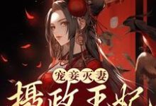 宠妾灭妻?摄政王妃她不干了免费阅读,宠妾灭妻?摄政王妃她不干了章节目录-乐读文学
