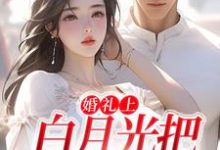 婚礼上,白月光把男友截胡了沈矜陈槿之,婚礼上,白月光把男友截胡了最新章节-乐读文学