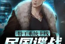 特工系统上线,民国谍战很轻松袁野,特工系统上线,民国谍战很轻松在线无弹窗阅读-乐读文学