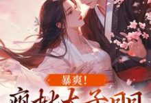容莺卫遒是哪本书的主角?寻找暴爽!疯批太子日日狂撩小娇妻免费阅读-乐读文学