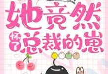 一夜情后,她竟然怀了总裁的崽小说完结了吗?在哪里可以免费读到?-乐读文学