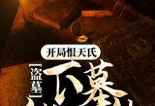 小说《盗墓:开局恨天氏,下墓就无敌》在线章节阅读-乐读文学