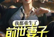 我都重生了,前世妻子才说爱我?小说有没有完结版在线?-乐读文学