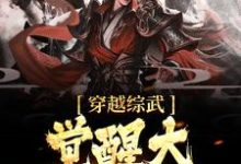 完结版《穿越综武,觉醒大反派系统》章节阅读-乐读文学