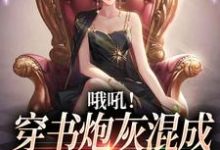 哦吼!穿书炮灰混成书中万人迷了小说,哦吼!穿书炮灰混成书中万人迷了章节在线阅读-乐读文学