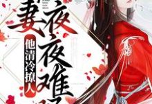 他清冷撩人,娇妻夜夜难眠这本小说在哪里可以看?哪里有免费试读章节?-乐读文学