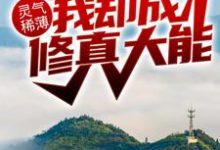 灵气稀薄,我却成修真大能?小说有没有完结版在线?-乐读文学