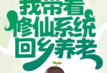 我带着修仙系统回乡养老楚星桥小仙小说免费阅读-乐读文学