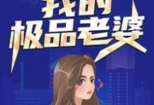 我的极品老婆小说有没有完结版在线?-乐读文学