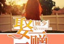完结版《顾少,娶一赠二》章节阅读-乐读文学
