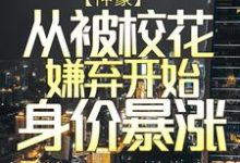 神豪:从被校花嫌弃开始身价暴涨最新章节,神豪:从被校花嫌弃开始身价暴涨章节在线阅读-乐读文学