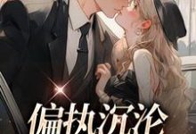 小说《偏执沉沦:学长,晚上见》章节免费阅读-乐读文学