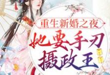 宋音书萧御辞的完整故事在哪里?读重生新婚之夜,她要手刃摄政王小说-乐读文学