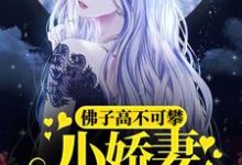 魏语娴傅玄屹小说《佛子高不可攀,小娇妻她怂了》在线阅读-乐读文学