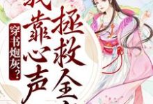 哪里可以免费读到陆朝朝陆元宵的完整故事?寻找穿书炮灰?我靠心声拯救全家-乐读文学