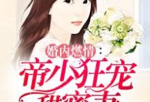 完结版《婚内燃情:帝少狂宠甜蜜妻》章节阅读-乐读文学