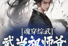 张三丰为主角的小说叫什么?免费看魂穿综武:武当祖师爷出山了-乐读文学