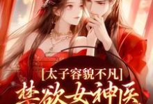 主角 雁未迟上官曦小说太子容貌不凡,禁欲女神医爱疯了免费阅读-乐读文学