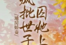 《通房娇妾,疯批世子囚她上瘾》小说大结局免费试读 苏婳靳珩小说-乐读文学