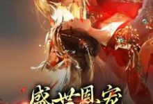 小说《盛世恩宠:皇上你太粘人》在线章节阅读-乐读文学