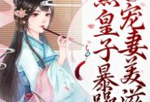 裴时沅李意寻小说《庶女崛起!腹黑皇子暴躁宠妻美滋滋》在线阅读-乐读文学