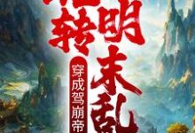 朱由校是哪本书的主角?寻找穿成驾崩帝皇,玩转明末乱世免费阅读-乐读文学