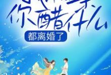 都离婚了,我相亲你醋什么小说的免费阅读版本在哪里可以找到?-乐读文学