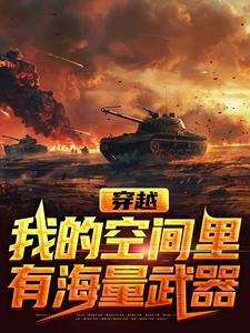 穿越，我的空间里有海量武器小说阅读，穿越，我的空间里有海量武器完结版