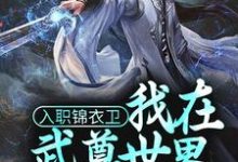 《入职锦衣卫,我在武尊世界为朝廷效力》全集免费在线阅读(林枭)-乐读文学