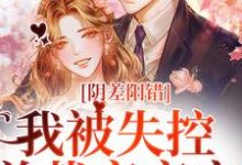 完结版《阴差阳错,我被失控总裁夜夜宠》在线免费阅读-乐读文学