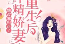 宁采慕寒江采采小说在哪里可以看-乐读文学