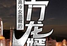 主角叶豪萧婉清小说完结版在线阅读,高冷女总裁的上门龙婿免费看-乐读文学