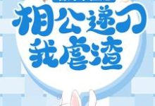 哪里能找到替嫁小医妃,相公递刀我虐渣小说的最新更新和免费章节?-乐读文学