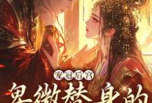 哪里能找到宠冠后宫:卑微替身的逆袭指南小说的全部章节?-乐读文学